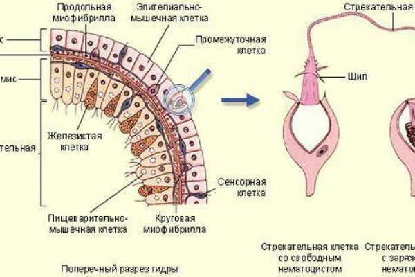 Кракен даркнет тор