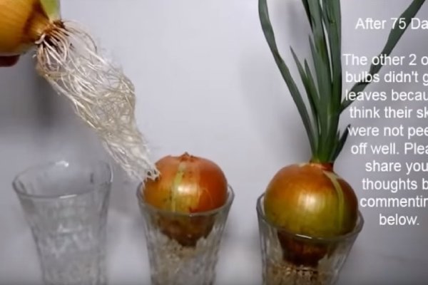 Сайт кракен онион