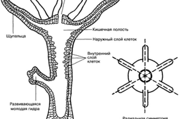 Kraken оригинальная ссылка