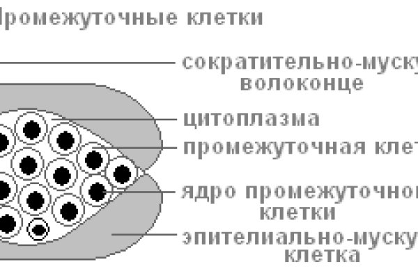 Kra19.gl