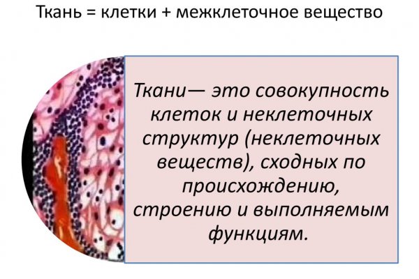 Как зайти на кракен тор
